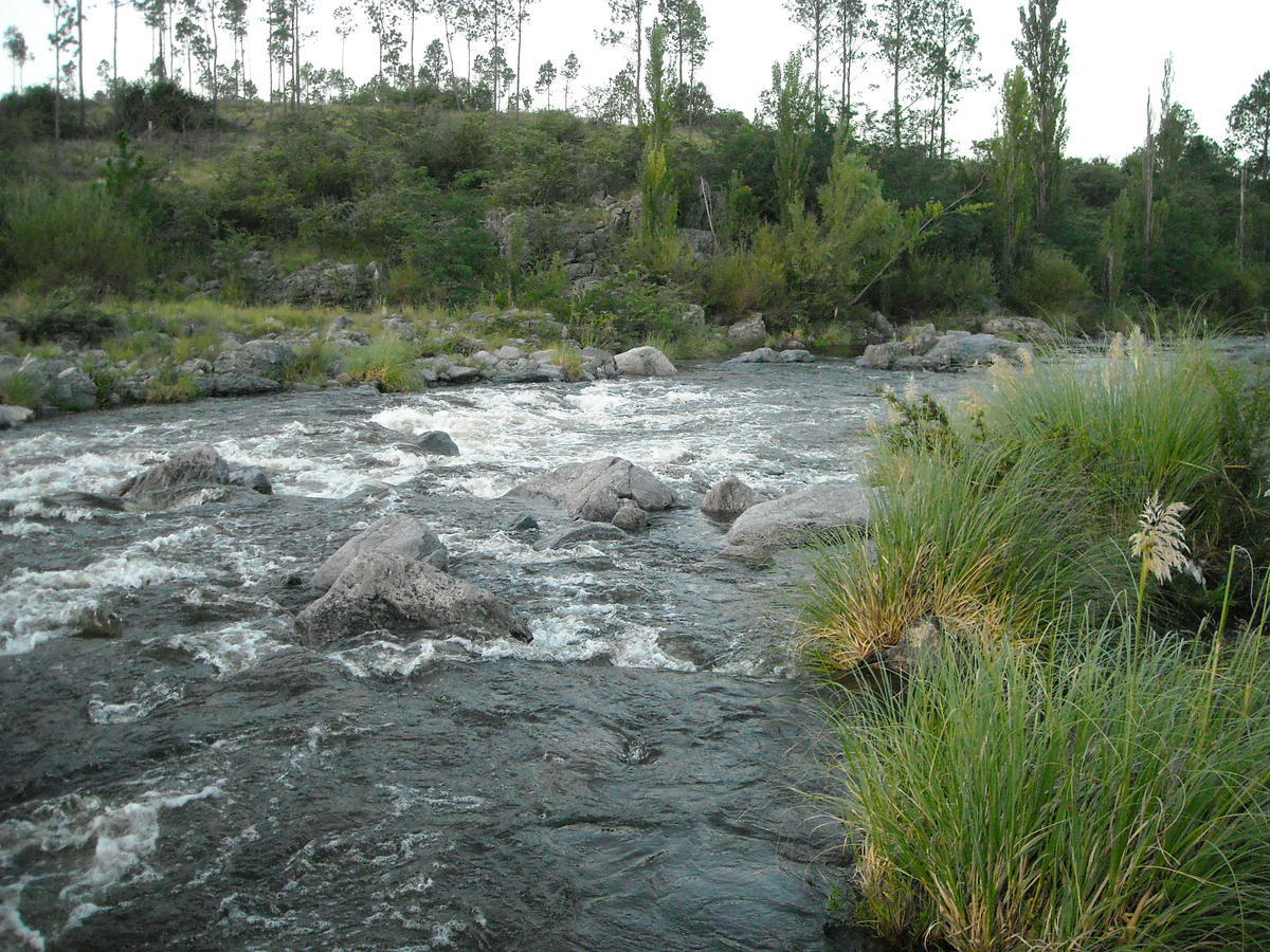 Cabañas Ecos del Rio Los Reartes Habitación foto